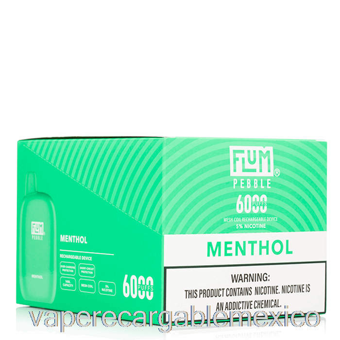 Vape Recargable [paquete De 10] Flum Pebble 6000 Desechable